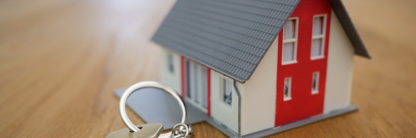 Pinova real estate website results: Luxury property showcasing Pinova results